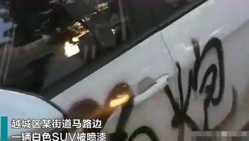 绍兴渣男爆料网最新,揭秘网络热议背后的真实故事